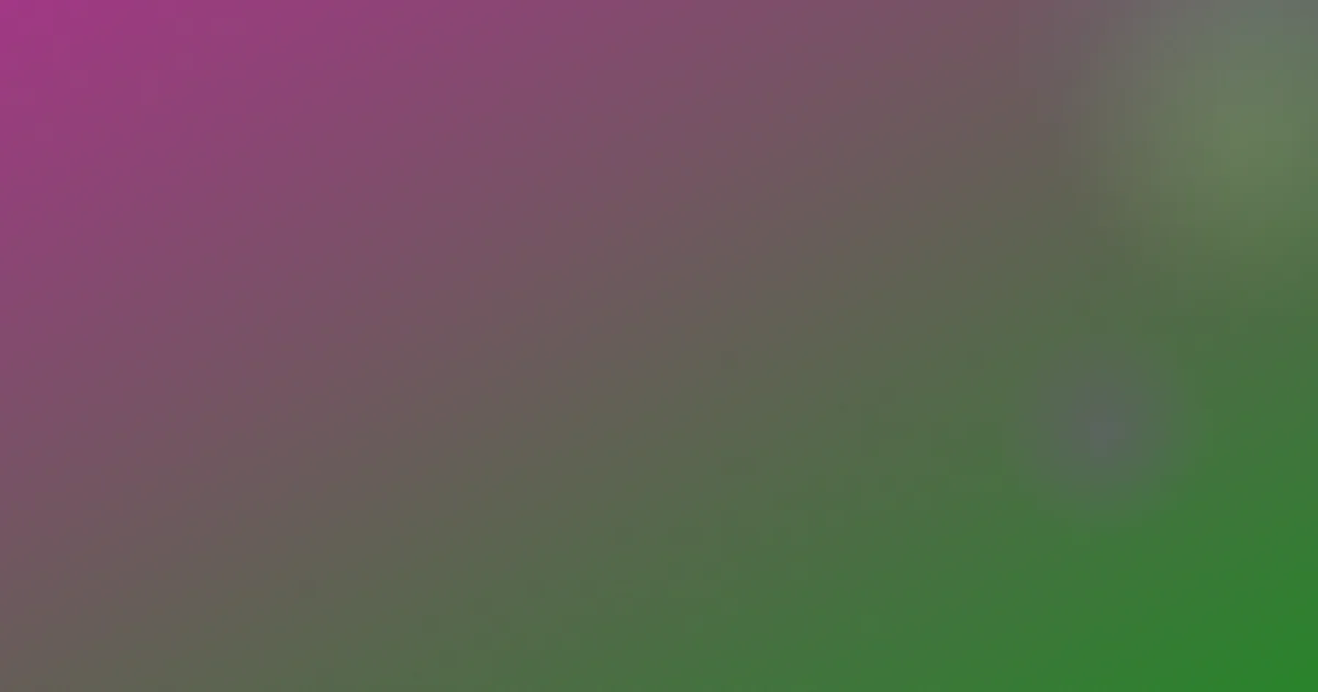 学校攻略：公办民办寄宿怎么横向比